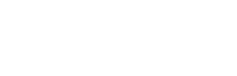 Promon---company-logo-white-rectangle