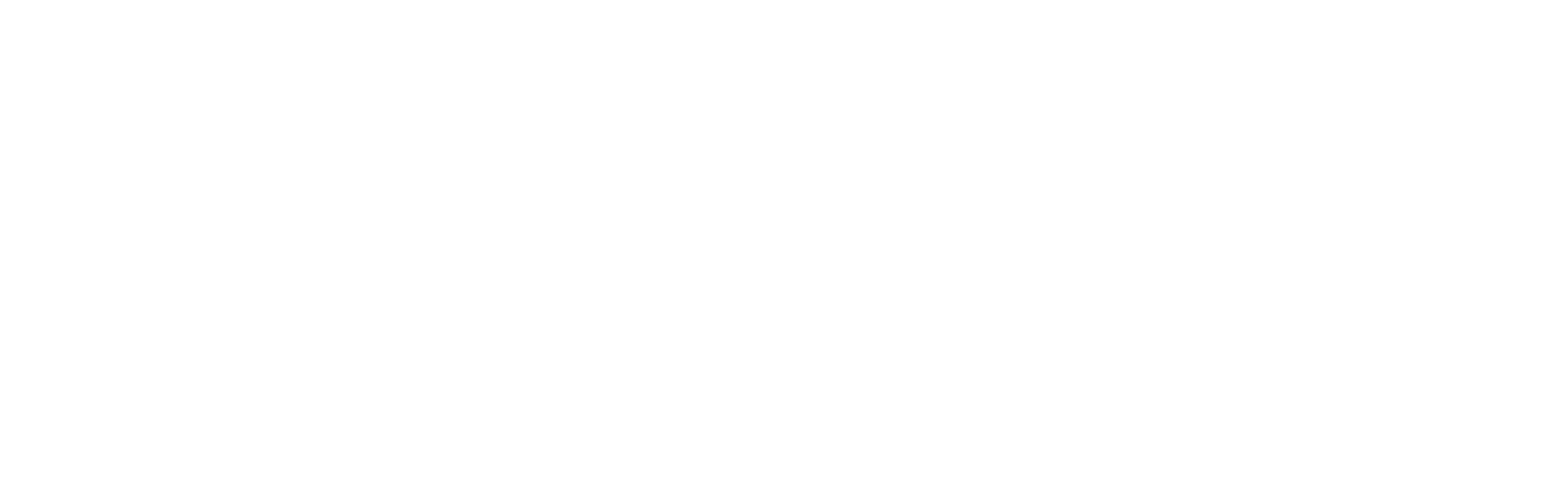 Seismic-logo-white