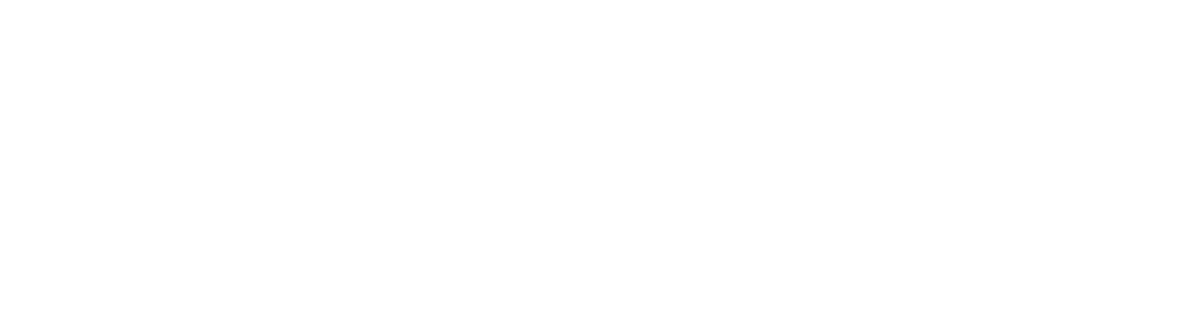 lalaleads logo white